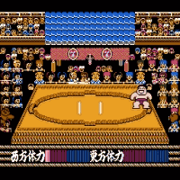 Sumo Wrestling Screenshot 1